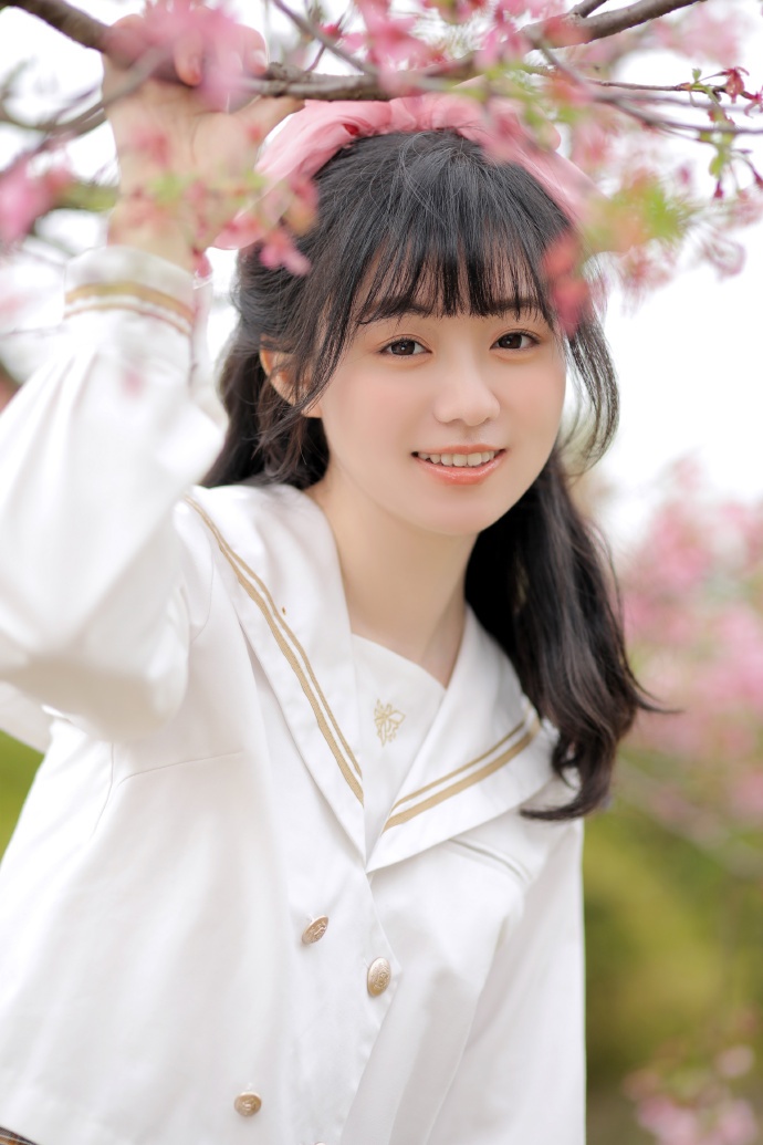 风骚律师 封面